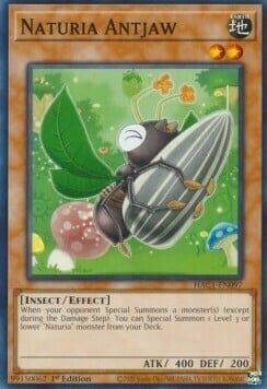 Naturia Antjaw Card Front