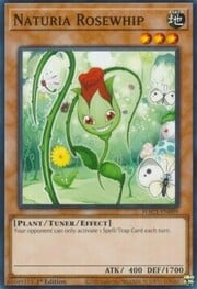 Naturia Rosewhip · Common 099