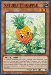 Naturia Pineapple · Common 118