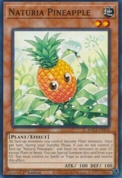 Naturia Pineapple Card Front