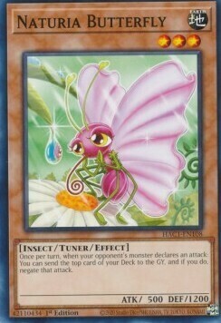 Naturia Butterfly Card Front