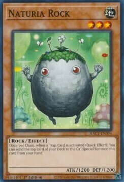 Naturia Rock Card Front