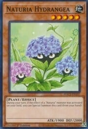 Naturia Hydrangea · Common 107