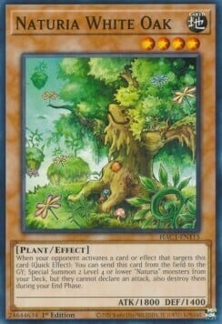 Naturia White Oak Card Front