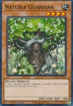Naturia Guardian Card Front