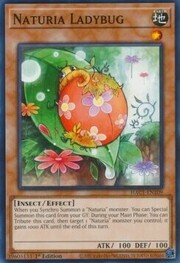Naturia Ladybug · Common 109