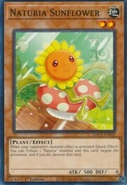 Naturia Sunflower · Common 102