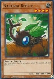 Naturia Beetle · Common 093