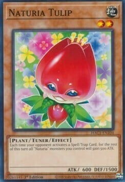 Naturia Tulip Card Front