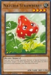 Naturia Strawberry · Common 110