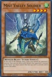 Mist Valley Soldier · Common 058