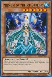 Medium of the Ice Barrier · Common 034