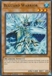 Blizzard Warrior · Common 030