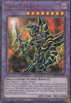 Dark Paladin Card Front