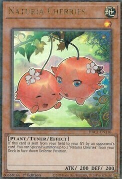 Naturia Cherries Card Front