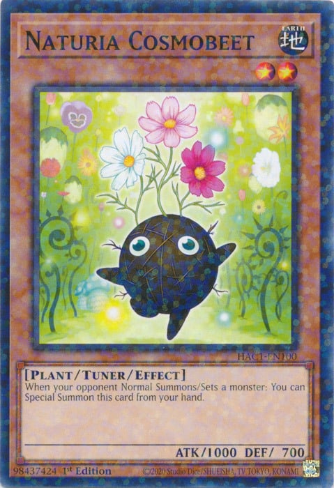 Naturia Cosmobeet Card Front