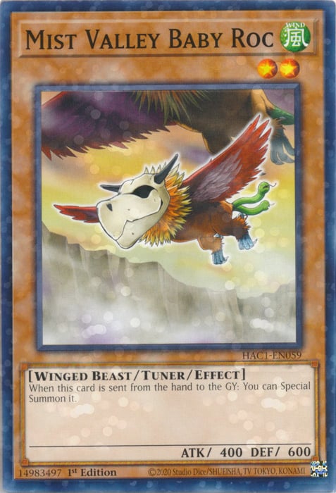 Mist Valley Baby Roc Card Front