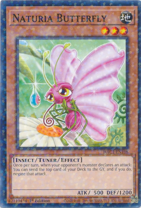 Naturia Butterfly Card Front