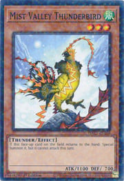 Mist Valley Thunderbird · Duel Terminal Common 056