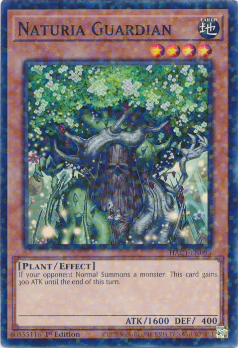 Naturia Guardian Card Front