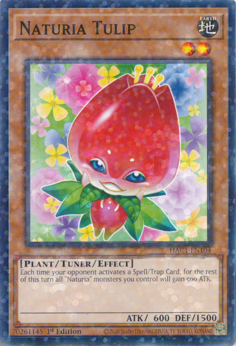 Naturia Tulip Card Front