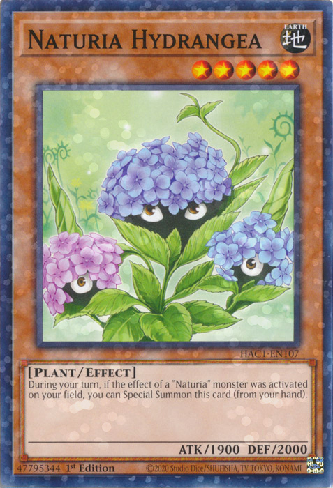 Naturia Hydrangea Card Front