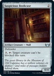 Suspicious Bookcase 245