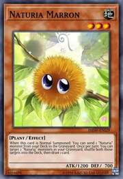Naturia Marron · Common 032