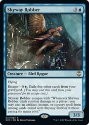Skyway Robber 031