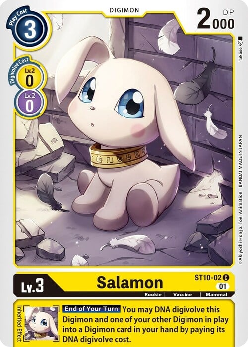 Salamon Card Front