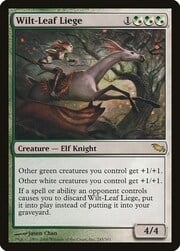 Wilt-Leaf Liege 245