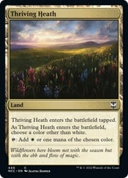 Thriving Heath 440