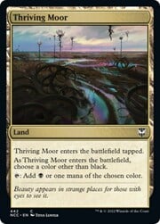 Thriving Moor 442
