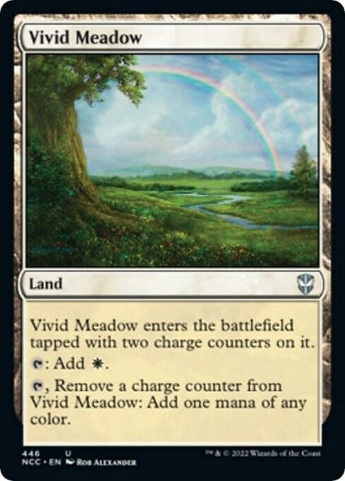 Vivid Meadow Card Front