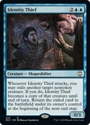 Identity Thief 224