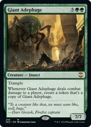 Giant Adephage 293