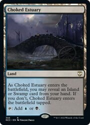Choked Estuary 393