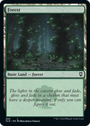 Forest · 468 468