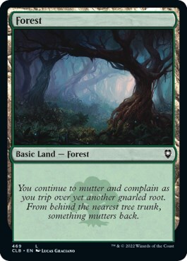 Forest Card Front