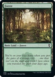Forest · 470 470
