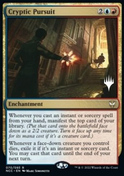 Cryptic Pursuit Card Front