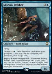 Skyway Robber 031