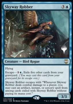 Skyway Robber Card Front