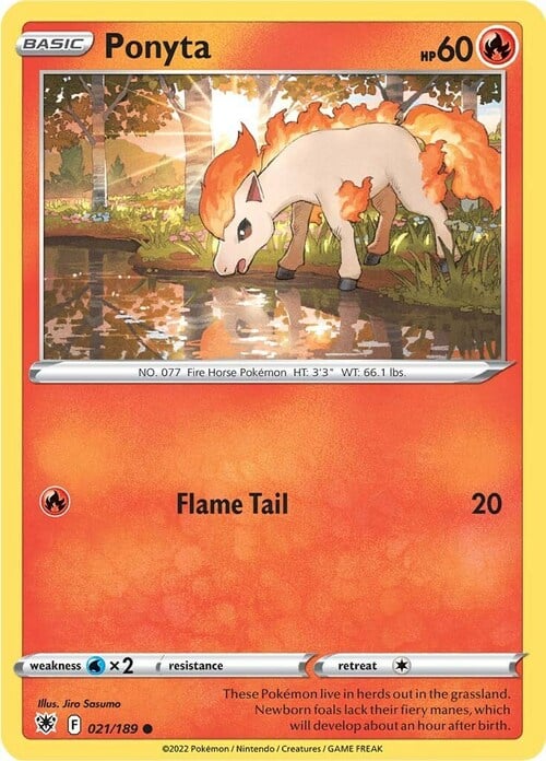 Ponyta [Flame Tail] Card Front