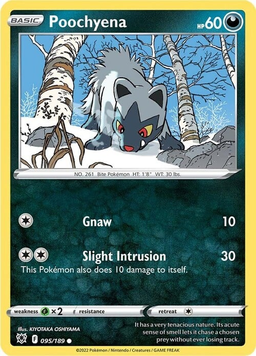 Poochyena [Gnaw | Slight Intrusion] Card Front