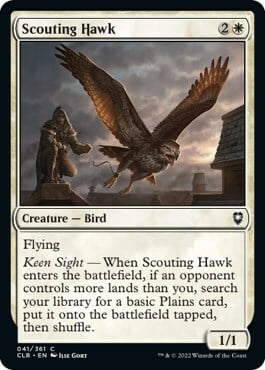 Scouting Hawk Card Front