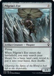 Pilgrim's Eye 333