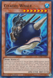 Citadel Whale · Common 026