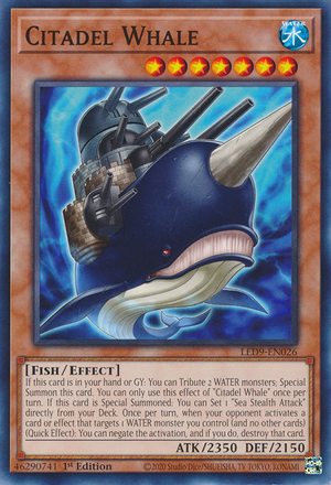 Citadel Whale Card Front