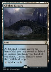 Choked Estuary 886